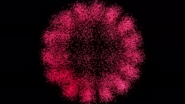 3D Animation of the Coronavirus alt