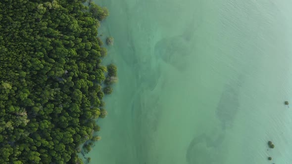 Vertical Video of the Ocean Near the Coast of Zanzibar Tanzania Aerial View