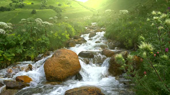 Steadicam Shot of River with Crystal Clear Water in the Mountains