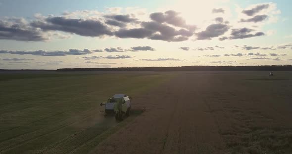 Upper View Harvesting Machine Gathers Cereal in Gold Field