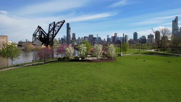 Blooming Spring Trees In City Park With Chicago Skyline Low Flying Drone