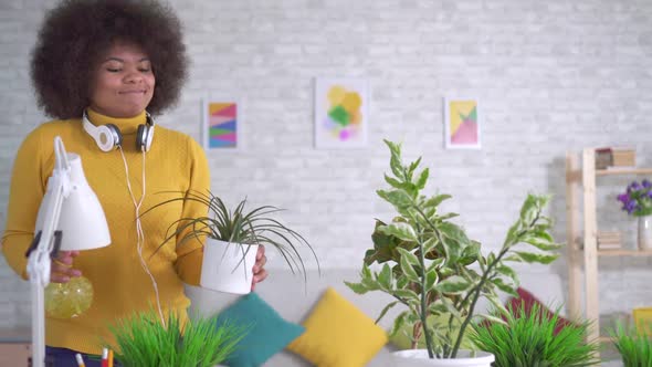 Cheerful and Positive Beautiful African American Woman with an Afro Hairstyle Takes Care of Flowers