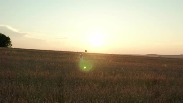 Aerial Drone View, A Woman Happily Run Through a Field Touching with Hand Wheat Ears and Sunlight 