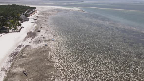 Zanzibar Tanzania  Low Tide in the Ocean Near the Shore