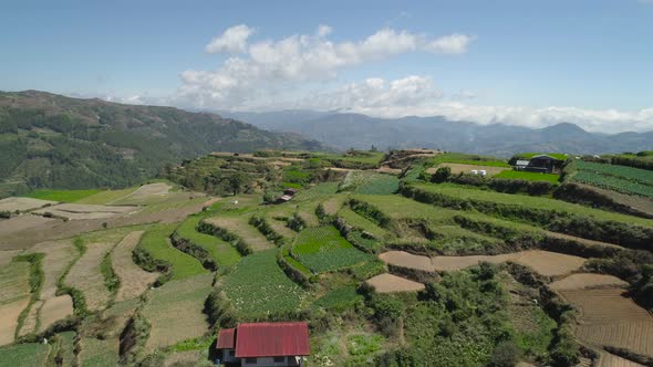 Farmland in a Mountain Province Philippines