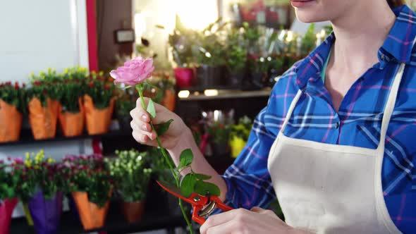 Beautiful female florist smelling pink rose