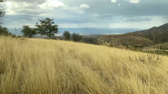 High Desert Grasslands with Rain on the Horizon