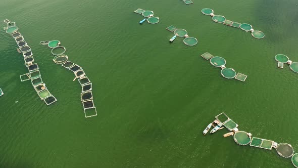 Fish Farm on the Lake Taal Philippines