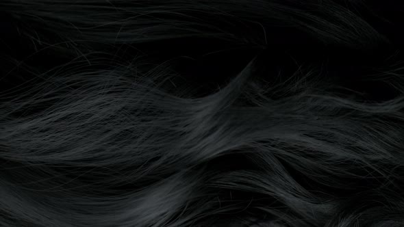 Super Slow Motion Shot of Waving Black Hair at 1000 Fps