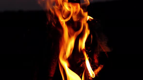 Fire close-up, burning logs in the fireplace a hot flame.