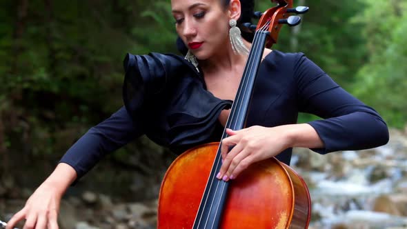 Luxury woman plays the cello. Beautiful girl violinist playing violin on summer landscape.