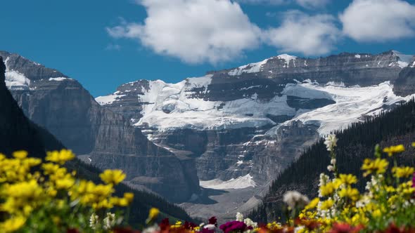 Timelapse of mountains and colorful flowers