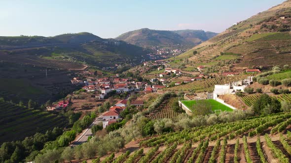 Valley with Vineyards. Douro, Portugal