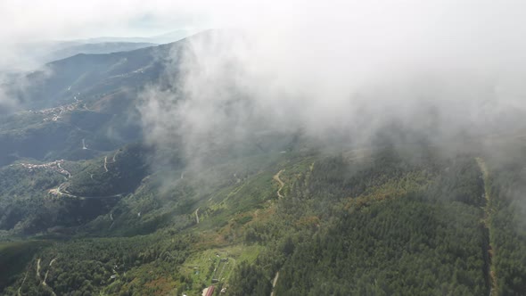 Forest Trees Growing on Mountain Hills at Cloudy Day Portugal Europe