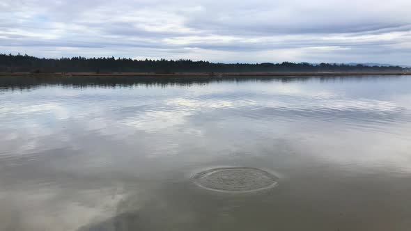 Beautiful Coquille River in Southern Oregon near Bandon with clouds reflecting in the water at high 