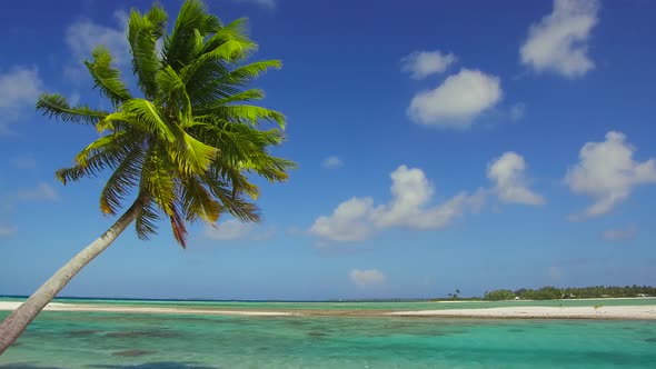 Tropical Beach with Palm Tree in French Polynesia 