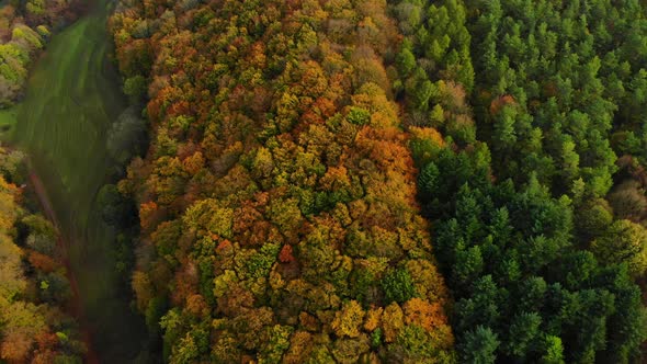 drone flight over beautiful autumn colored forest and autumn landscape