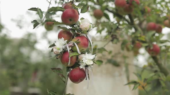 Beautiful Wedding Bouquets Hangs on an Apple Tree