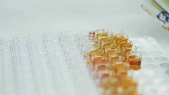 Close Up of Test Tubes Getting Filled with Plasma. Coronavirus, Covid-19 Laboratory Test.