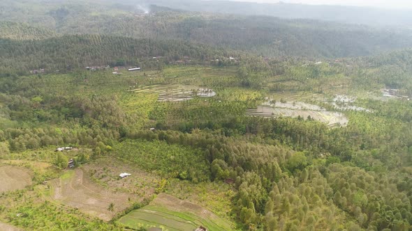 Tropical Landscape with Agricultural Land in Indonesia