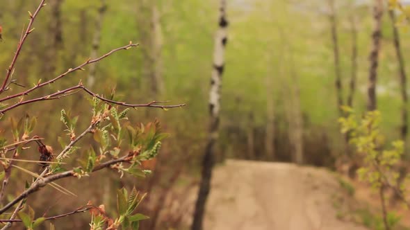 A mountain biker does a trick on a dirt trail