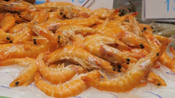 Top View of Raw Whole Tiger Prawns on Ice