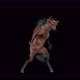 65 Horse Dancing 4K - VideoHive Item for Sale