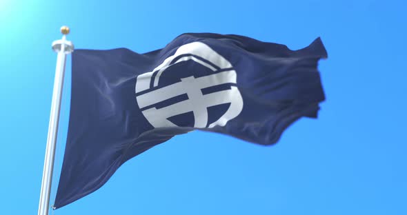 Tokushima Flag, Japan