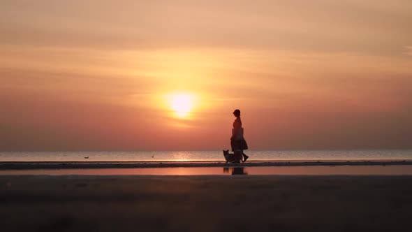 Sunset on Beach Background for Dog and Woman Walking Along Shore Spbi