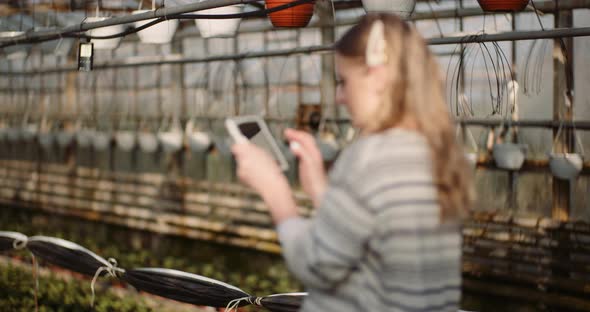 Female Gardener Using Digital Tablet in Greenhouse