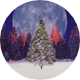 Spruce In The Moonlight In A Winter Forest - VideoHive Item for Sale