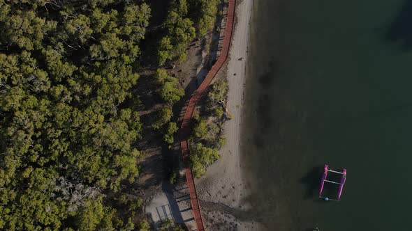 Aerial drone video following a  timber boardwalk winding through a coastal conservation wetland