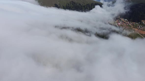 Cloud and forest aerial view