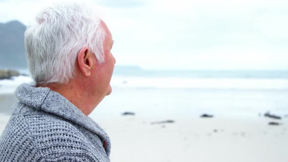 Portrait of senior man standing on beach