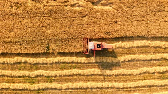 Top view of red combine working on field during harvest