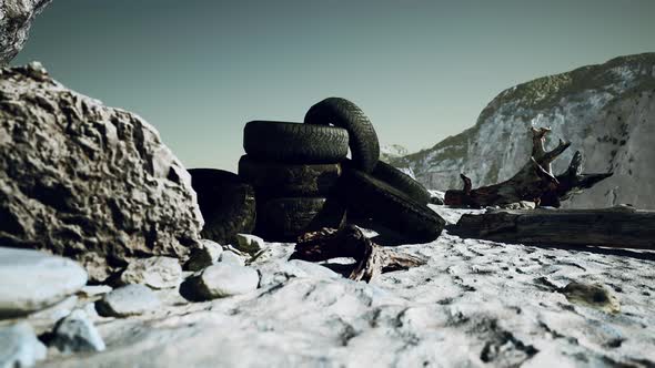 Old Tire on the Seashore and Pollution of Nature