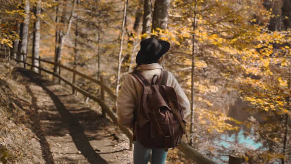 Rear View Retro Woman Hiker Walks Trail in Autumn Forest on Sunny Autumn Day