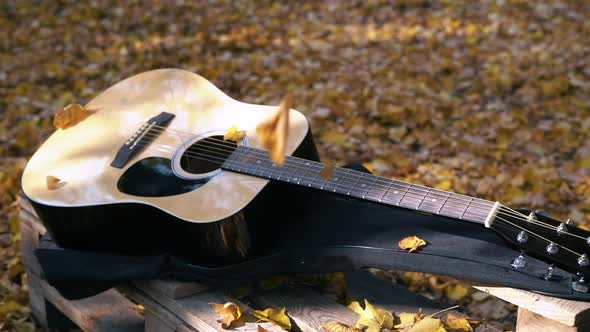 Guitar Lies in the Autumn Forest on the Yellow Leaves all on the Guitar
