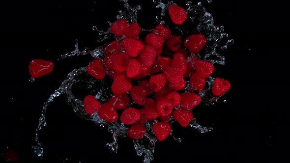 Super Slow Motion Shot of Rotating Exploded Raspberries with Splashing Water on Black at 1000Fps