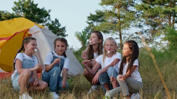 A Group of Children on a Picnic They Fry Marshmallows By the Fire and Have Fun at a Summer Camp