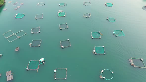 Fish Farm with Cages for Fish and Shrimp in the Philippines Luzon