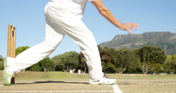 Bowler delivering ball during cricket match