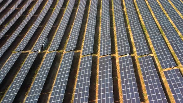 Aerial View of a Solar Farm on the Green Field