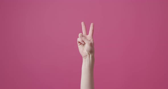 Young Beautiful Girl Makes Victory Symbol with Hand on Isolated Pink Background