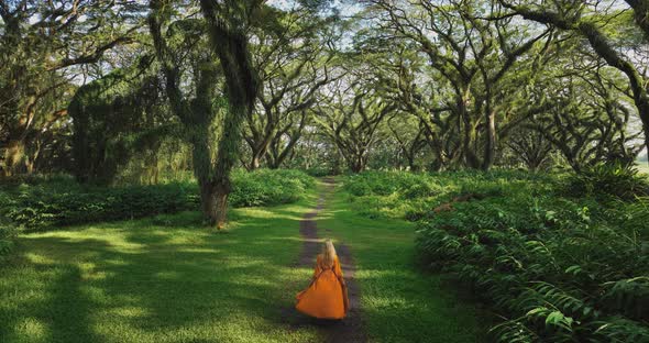 Captivating blond woman walks in magical De Djawatan forest with golden sunshine, aerial