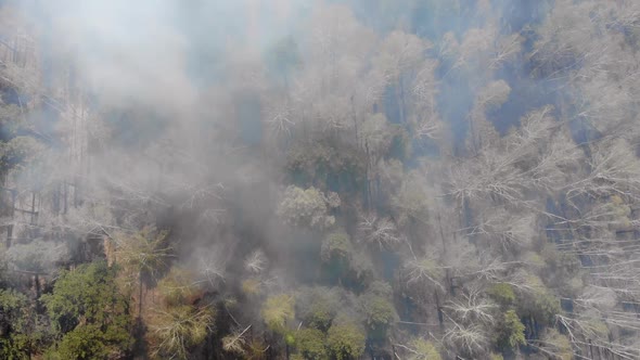 Climate emergency.High Aerial Fly Over View of a Forest Fire