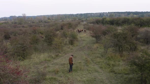 Documentarist with a mobile and a camera observes a bison herd,steppe.