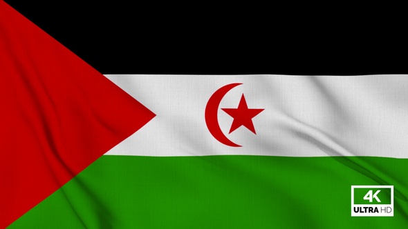 Western Sahara Flag Waving Slowly Looped