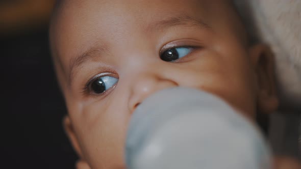 Adorable Dark Skin Multiracial Baby Drinking His Formula Milk From the Bottle in the Hands of His