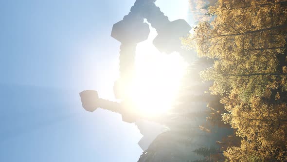 UFO Crashed in the Forest. Vertical Format alt